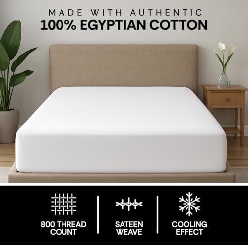 100% Egyptian Cotton California King Fitted Sheet, 800 TC, Soft, White