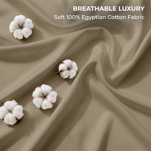SGI bedding 100% Egyptian Cotton Sheets Full Size – 600 Thread Count
