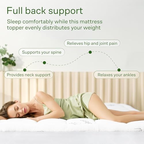Niagara Sleep Solution Queen Ultra Soft Mattress Topper — Back Pain