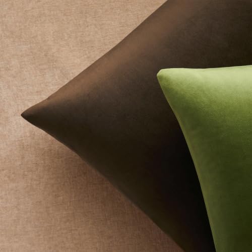 JUSPURBET Decorative Velvet Throw Pillow Covers 20x20 Set of 2,Brown