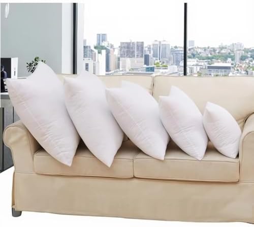 Throw Pillow Inserts, 20x20 Inch Soft Down Alternative Cushion for