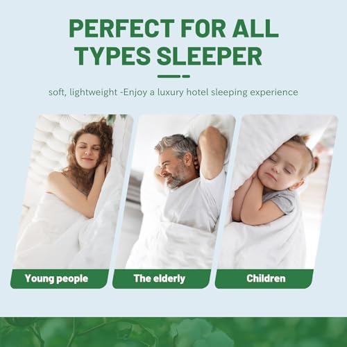 Linens Limited Luxury 6 Piece Sheet Set 100% Egyptian Cotton Premium