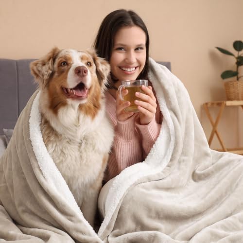 Bedsure GentleSoft Sherpa Fleece Throw Blanket for Couch, Non-Heated