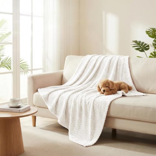 Exclusivo Mezcla Soft Fleece Blanket King Size for Bed, Sofa, Ivory