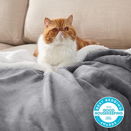 Bedsure GentleSoft Sherpa Fleece Twin Blanket for Couch, Non-Heated