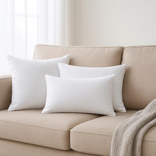 Calibrate Timing 12 x 20 inches Pillow Inserts, Set of 6