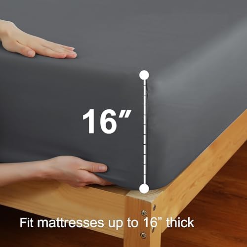 2 Pack King Fitted Sheets, 100% Egyptian Cotton, Dark Grey