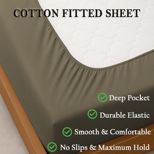 Luxury 100% Egyptian Cotton Fitted Sheet Queen Size 500 TC Hotel