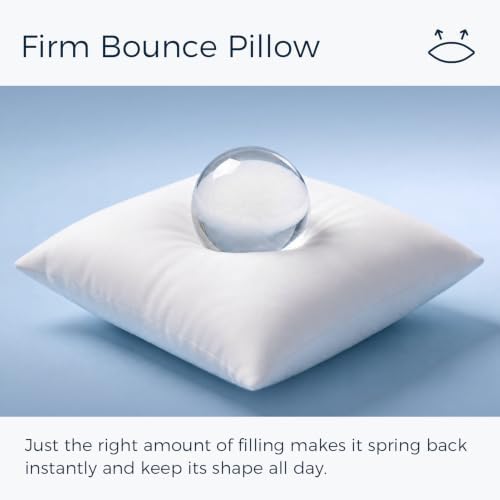 Phantoscope Throw Pillow Inserts Decorative Throw Pillows 20x20 Inch