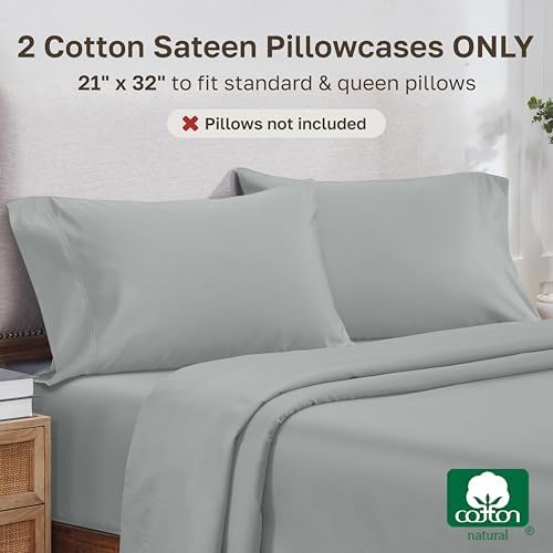 California Design Den 800 Thread Count 2-Pack Queen Pillow Case, Light