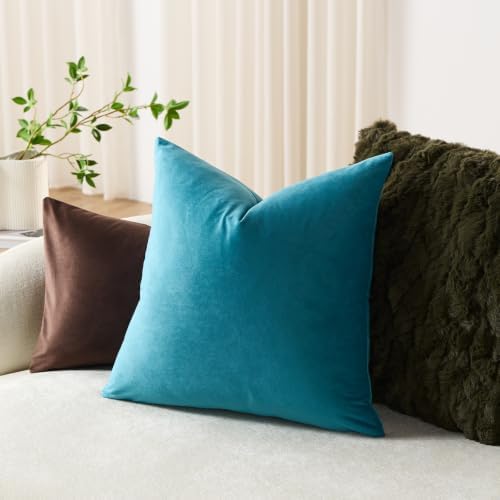 DEZENE Throw Pillow Covers 20x20 Turquoise: Pack of 2 Cozy Soft Velvet