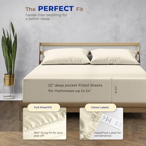 Thread Spread 100% Egyptian Cotton Queen Fitted Sheet Only - Luxury
