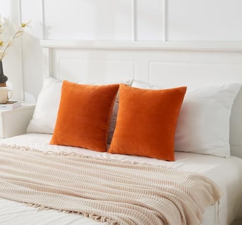 Throw Pillow Covers Burnt Orange Set of 2 18x18 Inch Fall Pillow
