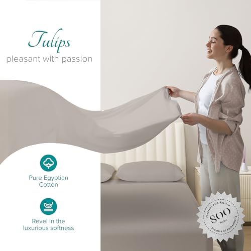 Carressa Linen 800 Series Egyptian Cotton Full Size Sheets Set, Taupe