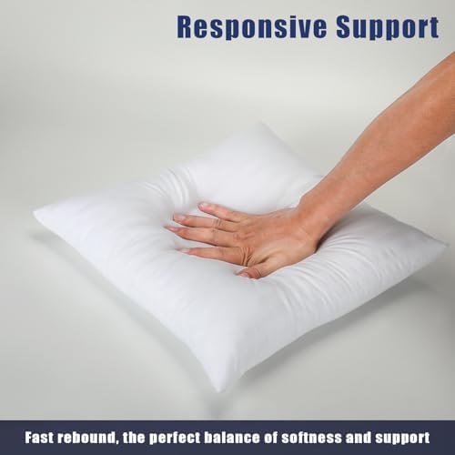 OKBA Set of 2 Throw Pillow Inserts, Hypoallergenic Soft & Firm
