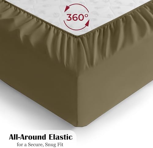 Egyptian Cotton Fitted Sheet Queen Size 16 Inch Deep - Taupe