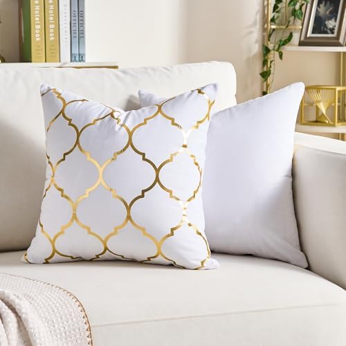 Pack of 2 Gold Velvet Decorative Pillow Covers White 20x20 Modern