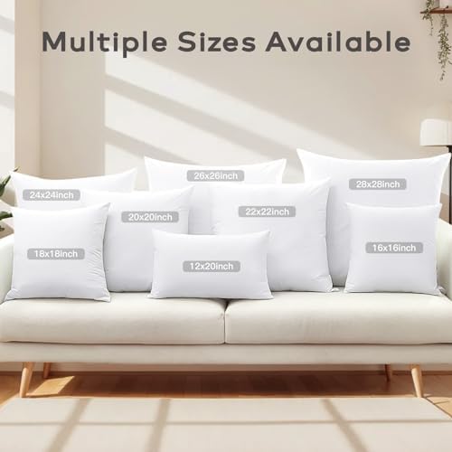 SAVORI Set of 2 Down and Feather Throw Pillow Inserts 20x20 Soft