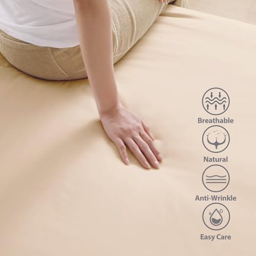 2 Pack 600 Thread Count 100% Egyptian Cotton Fitted Sheet Only, Cal