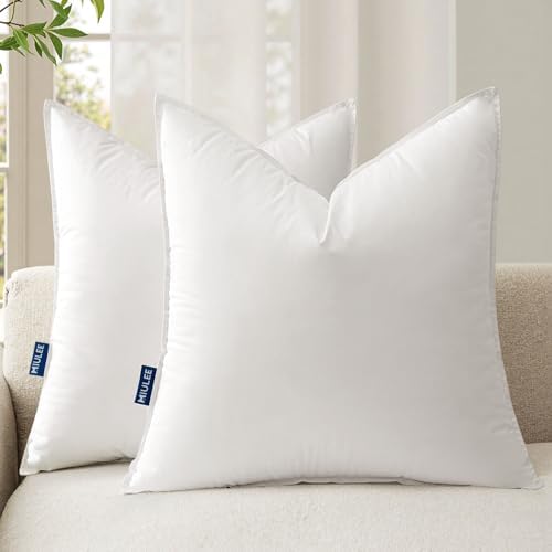 MIULEE 20x20 Throw Pillow Inserts,Set of 2 Decorative Pillow Inserts