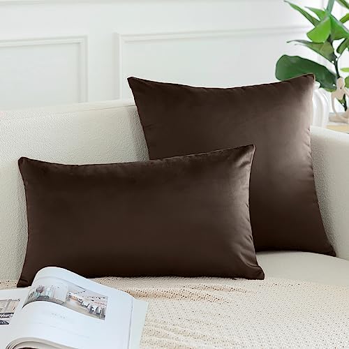 OTOSTAR Pack of 2 Velvet Soft Decorative Throw Pillow Covers Solid