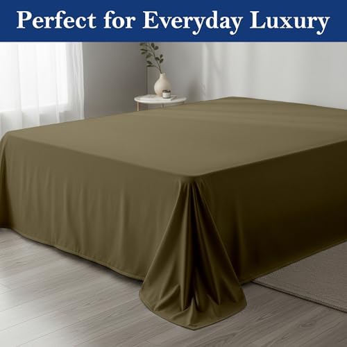 SKY BEDDINGS Queen Flat Sheets, 100% Egyptian Cotton, Sateen, Taupe