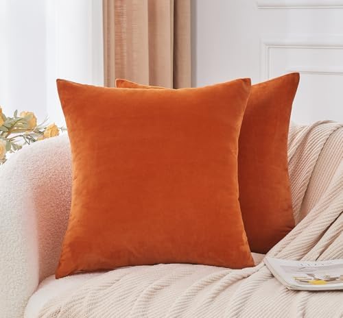 Throw Pillow Covers Burnt Orange Set of 2 18x18 Inch Fall Pillow