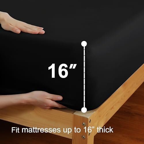 2 Pack Twin XL Fitted Sheets, 100% Egyptian Cotton, Black