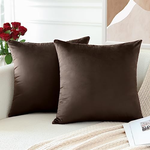 OTOSTAR Pack of 2 Velvet Soft Decorative Throw Pillow Covers Solid