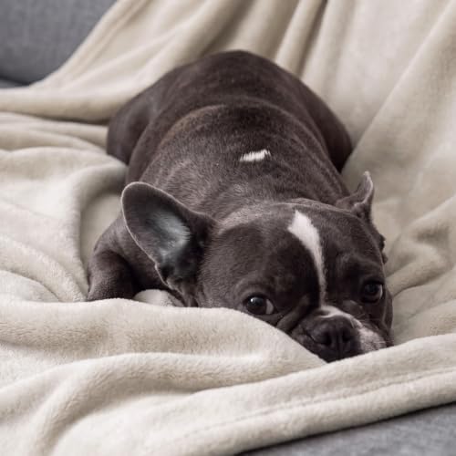 Bedsure GentleSoft Fleece Blanket California King Size Linen Beige