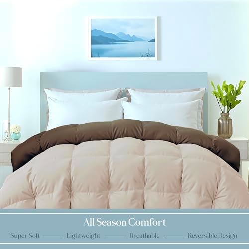 Microfiber Twin XL Comforter, Duvet Insert, 68 x 92 Inches