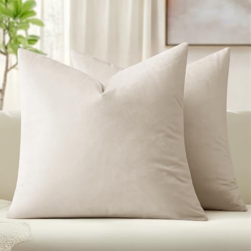 MIULEE Velvet Throw Pillow Covers 20x20 Inch Pack of 2 Cream White