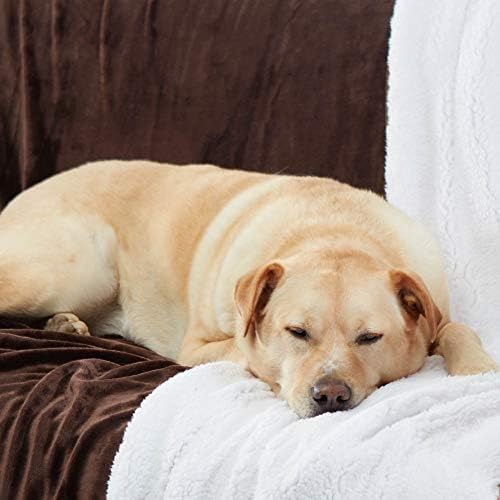 Sherpa Throw Blanket Super Soft Reversible Ultra Luxurious Plush