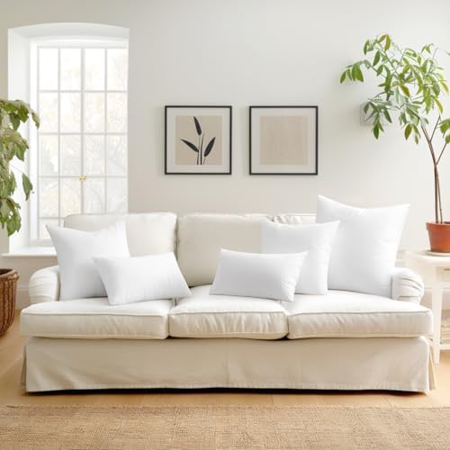 MIULEE Set of 2 Throw Pillow Inserts 18x18 Inches with 100% Virgin