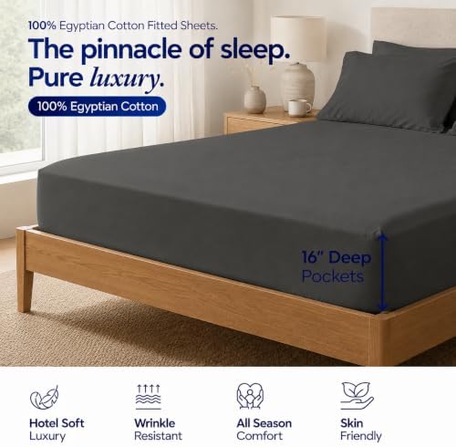 Egyptian Cotton King Fitted Sheet, Fits Upto 16" deep Pocket - Dark