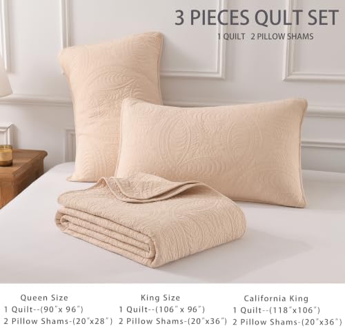 Homzard 100% Cotton Quilt Set Queen Size 3-Piece Coin Pattern