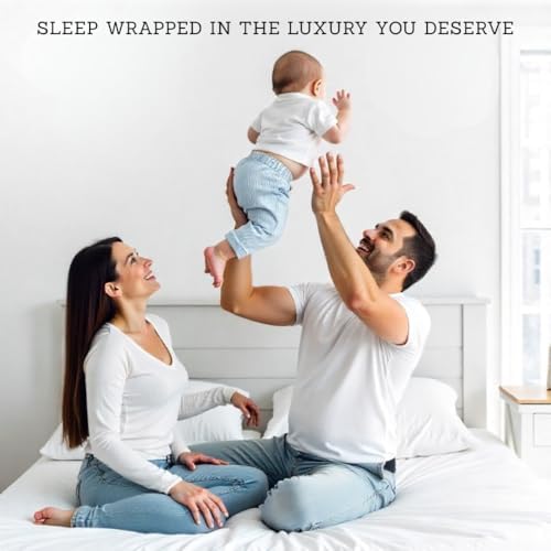 Egyptian Cotton Twin XL Size Fitted Sheet Taupe, 800 Thread Count