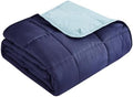 Topcee Weighted Blanket for Adults (20 lbs, 60" x 80") Queen Size Soft