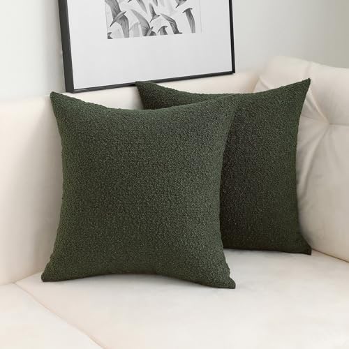 Jeneoo Sage Green Decorative Square Thick Throw Pillow Covers Fine