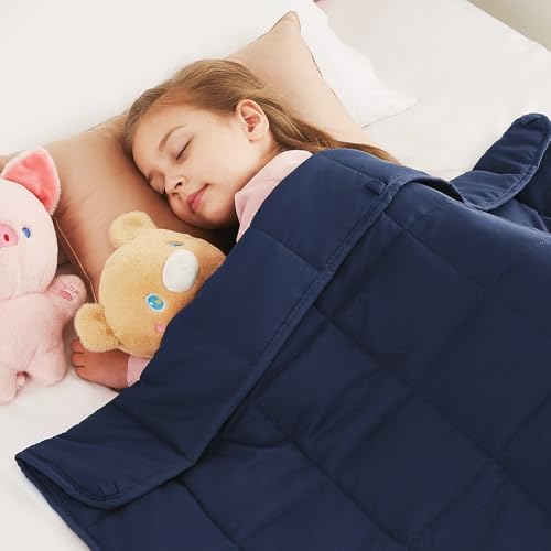 10 lbs Weighted Blanket Twin Full Size, 48" x 72" Cooling Weighted