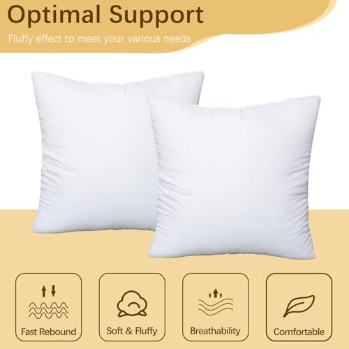 OKBA Throw Pillows Insert Set of 2, with 100% Cotton Cover,Bed and