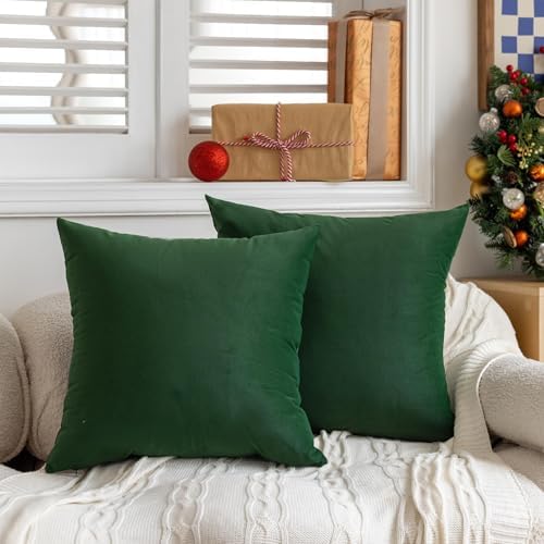 FEVERQIYI 22x22 Velvet Pillow Covers Set of 2 Army Green Decorative