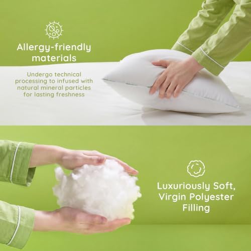 Ashler Hypoallergenic Throw Pillow Inserts, 18 x 18 Pillow Inserts Set
