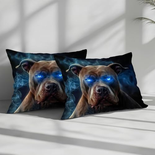 Duvet Cover Queen Size, Reversible King Duvet Cover Set with