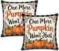 House Plaid Pillow Covers 22x22 Inch Set of 2 Linen for Farmhouse