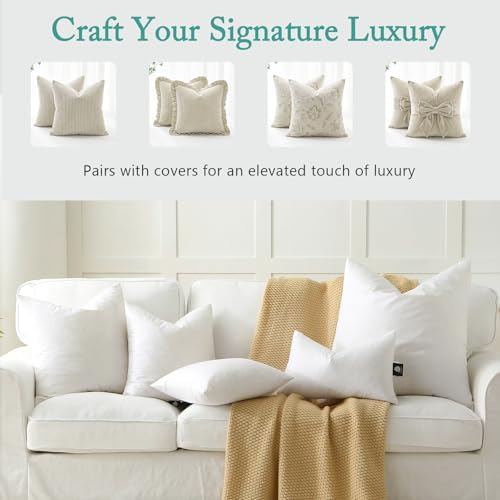 BPC Luxury Feather Down 20x20 Pillow Inserts Set of 2, Soft Fluffy