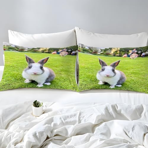 Rabbit Duvet Cover Set Gray/WhiteBedding 3D Printed - 100% Microfiber
