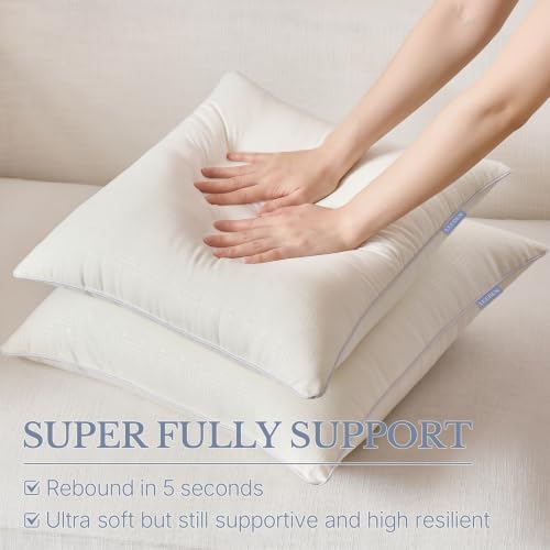 Leeden 20 x 20 Throw Pillow Inserts Set of 2 Pillow Forms for Sofa