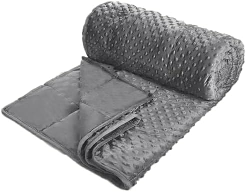 ALANSMA Reversible Weighted Blanket for All Season, Luxury Velvet