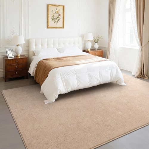 BENRON Soft Rugs for Living Room 6x9 Beige, Minimalist Area Rug for